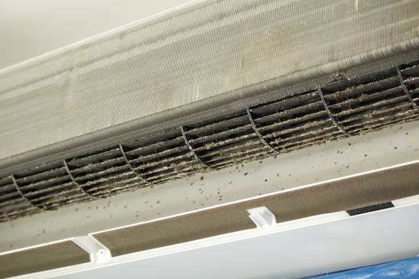 Ventilation Cleaning Services in Marshall, WI