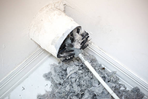 Best Affordable Duct Cleaning Services  in Marshall, WI